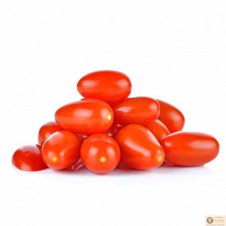 TOMATE CHERRY ECO KG