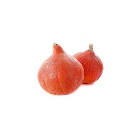 CALABAZA POTIMARRON KG ECO 