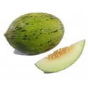 MELON PIEL DE SAPO  KG ECO